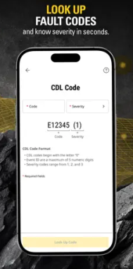 Cat Central Fault Codes