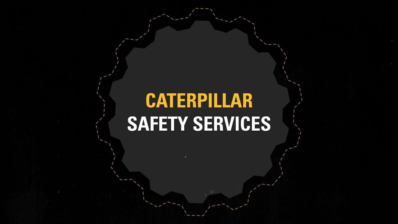 cat safety services