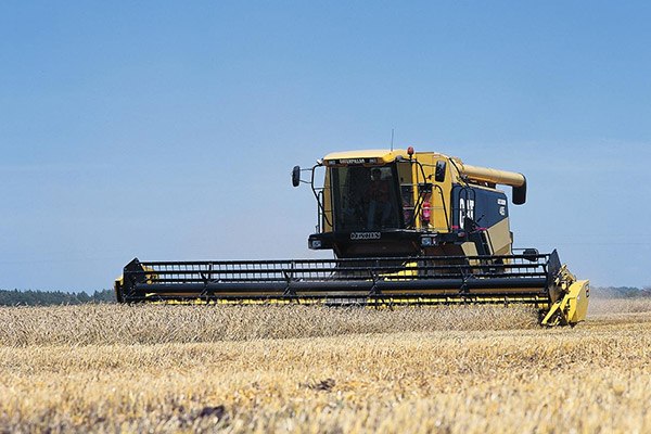 Cat Combine driving in field of wheat